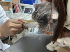 -谐和贝康宠物医院24小时·宠保定点(急重症转诊中心)