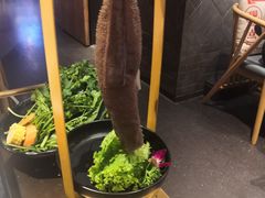 -焱三乐四川火锅店(经纬街店)