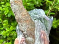 -糯米油条经营部