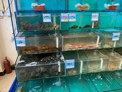 水产区-琼大师东方烤乳猪(亚特兰蒂斯店)