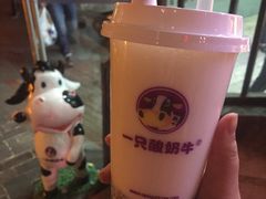 -一只酸奶牛(八一路店)