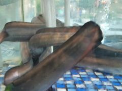 -大门水乡·顺德菜