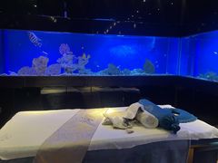 -避尘 Bsense·SPA(新会展总店)