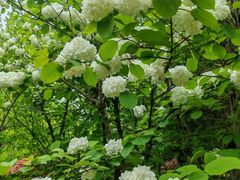 -白塘生态植物园