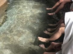 -碧水湾温泉