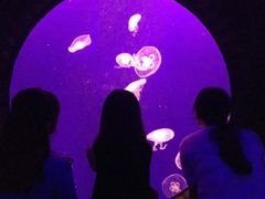 -成都浩海立方海洋公园