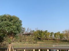 -白鹭湾湿地公园