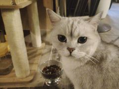 -后院儿·精酿·塔罗Happy Bar