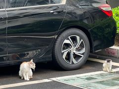 -福州金融街万达鳌峰洲地铁站锦江都城酒店