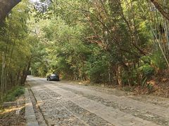 -紫金山天文台