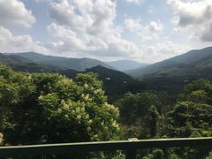 -呀诺达热带雨林