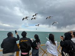 -青海湖国家重点风景名胜区