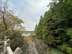 -长广溪湿地公园