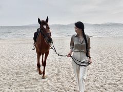 -玫瑰海岸文化旅游度假区