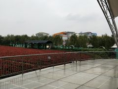 -广州花之恋城堡酒店