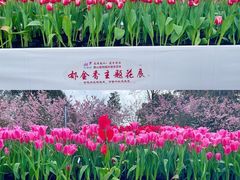 -南山植物园