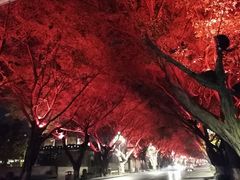 旁边街道-禅驿嘉定院子-禅欢江景餐厅·中餐·户外烧烤定制(乐山大佛店)