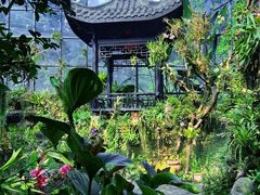 -东莞植物园