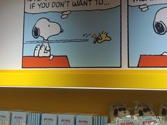 -九木杂物社(中心店)