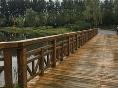-东郊湿地公园