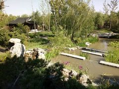 -武清南湖绿博园