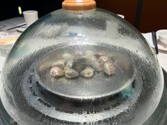 -青蓬蒸汽海鲜·深圳老字号·团建聚会(壹方城店)