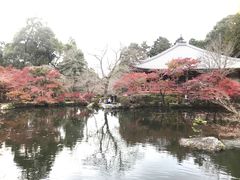 -醍醐寺
