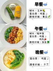 -香薇妮丝女子减肥院
