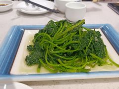 清炒地瓜叶-锦里海景海鲜餐厅.三亚老字号(亚龙湾中心广场店)