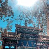 大西北环线5·大地之子/敦煌莫高窟/鸣沙山月牙泉