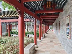 -顺峰山公园
