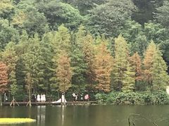 -重庆彩云湖湿地公园