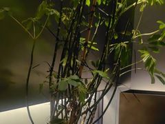 -望京辣宴·古法川菜(望京店)
