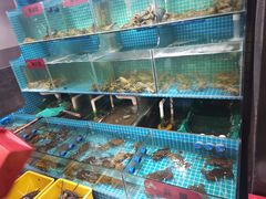水产区-三妹小龙虾·黄油蟹(华侨城总店)