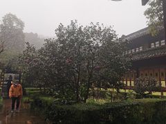 -峨眉山报国寺