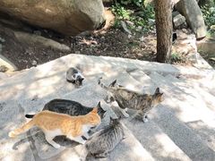 -崂山巨峰游览区