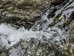 -中国茶叶博物馆(双峰馆区)