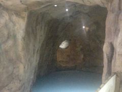 门面-重庆际华园室内极限运动中心