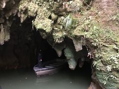 -怀托摩萤火虫洞