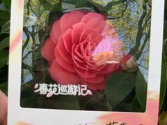 -杭州君悦酒店