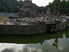 -合肥野生动物园