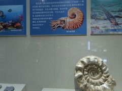-安徽省地质博物馆