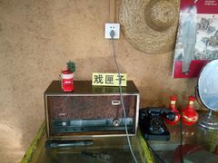 -百一大地锅(香福路店)