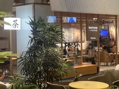 -tea'stone (万象天地店)