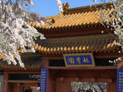 -桃花堤公园