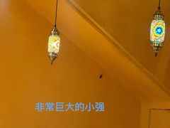 -阿达西阿凡提新疆美食