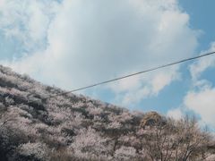 -妙峰山风景名胜区