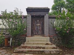 -阳台山自然风景区