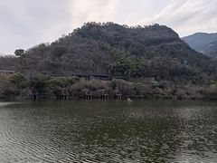-芳草地度假酒店·野炉中餐厅