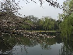 -西湖游船